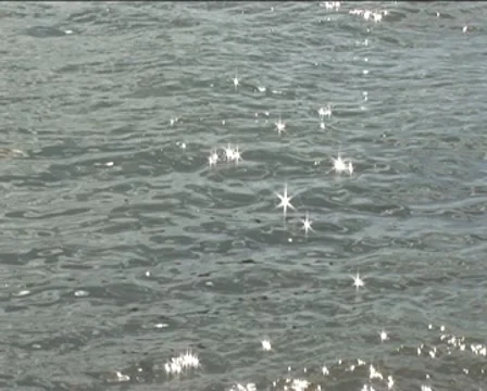 Sun shines in the water Stock Footage 8336047