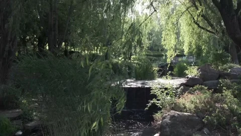 Sun Shines On The Waterfall, Breeze Blows Willow Branches Stock Footage 244617229