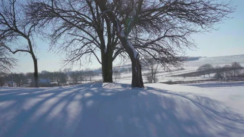 Sun shines in winter through the branches of a tree Stock Footage 151893220