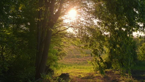 Sun shining above a natural arch shape in wilderness Stock Footage 339430473