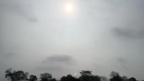 The Sun Shining And Out Of Focus Silhouette Trees Border On Dusky Sky Background Stock Footage 306157008