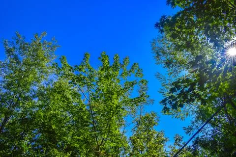 Sun shining in blue sky 스톡 사진