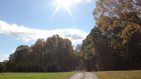 Sun shining brightly on a back road Stock Footage 44447332
