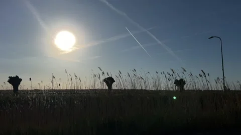 Sun shining brightly in open field with tall grass and streetlights, aerial Stock-Footage 342750510