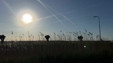 Sun shining brightly in open field with tall grass and streetlights, aerial Vidéo 342752294