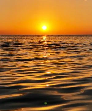 The sun is shining brightly. Stock Photos