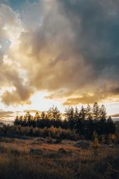 The sun is shining brightly through the clouds above the trees Stock Photos