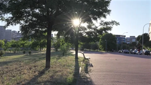 Sun shining brightly through green tree leaves in a city park Stock Footage 335377879