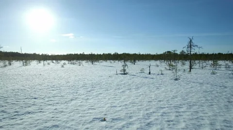 Sun shining brightly at a wintertime bog lanscape, low altitude aerial shot Stock Footage 62263899