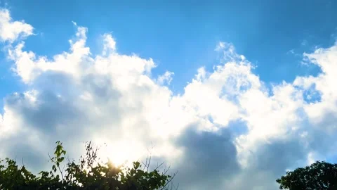 The sun shining on cloudy blue sky with silhouette trees and little birds flying Stock Footage 311962300