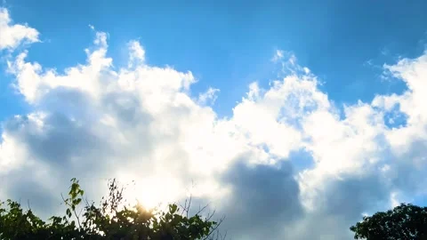 The sun shining on cloudy bright blue sky background with Silhouette trees Stock Footage 311612489