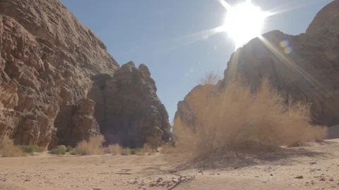 Sun is shining in the desert Stock Footage 127911556