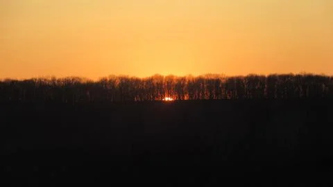 The sun, a shining disk through the trees at sunset Stock Photos