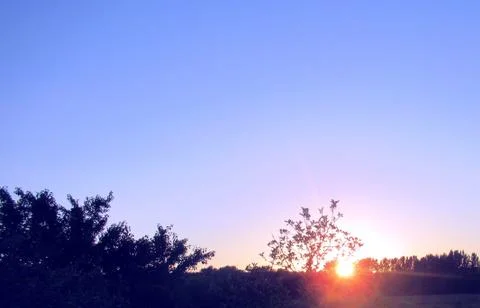 The sun, a shining disk through the trees at sunset Stock Photos
