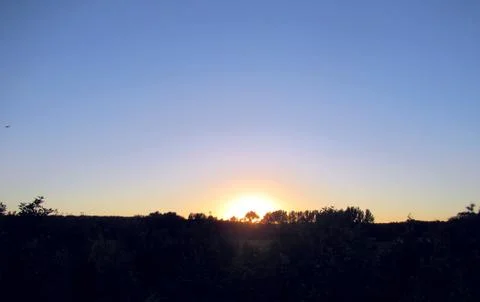 The sun, a shining disk through the trees at sunset Stock Photos