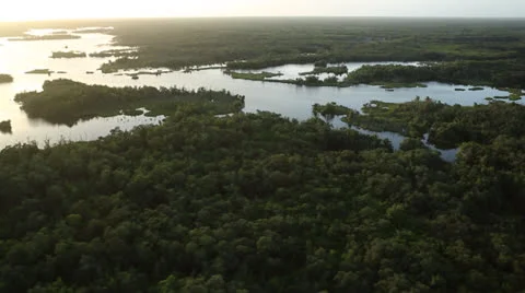 Sun Shining On Everglades Stock Footage 26244993
