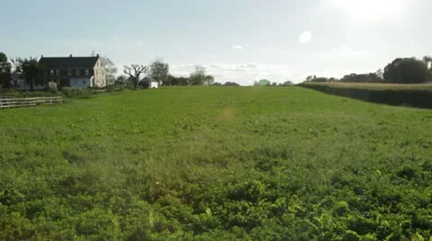 Sun Shining on Farmland Stock Footage 21456547