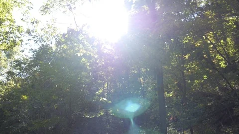 Sun shining on hiking trail Stock Footage 74070250