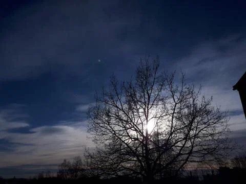 The sun is shining inside the tree Stock Photos