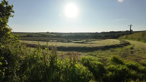 Sun shining on meadow Stock Footage 277296676