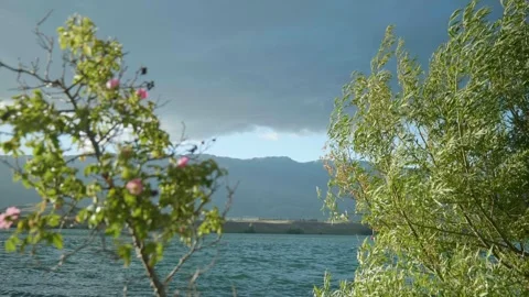 Sun shining on mountain through bushes Видео 260370070