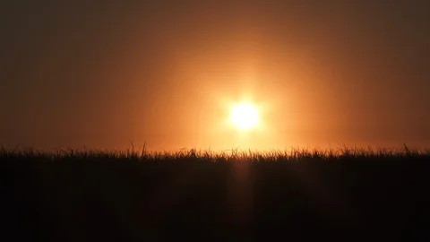 Sun Shining Over Blowing Grasses Video stock 97844599