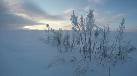 Sun shining over grass stalks in winter's field, time lapse 4K 스톡 동영상 59896054