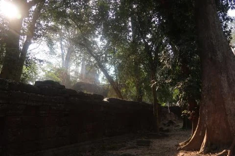 Sun shining over old wall of the ancient temple ruins in angkor wat, foggy Stock Photos