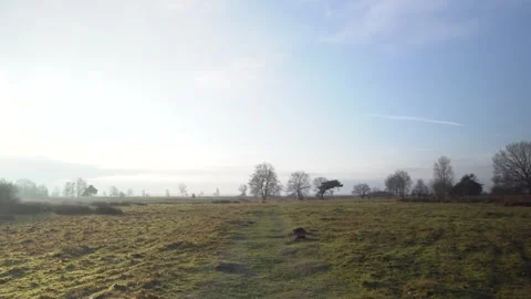 Sun shining over a path crossing a field Stock Footage 292924388