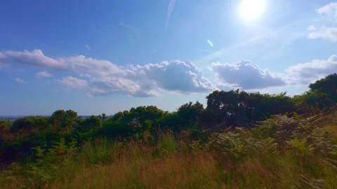 Sun shining over rural hillside bushes and blue sky in Ireland Stock Footage 340435493