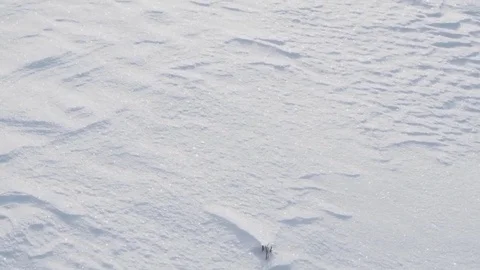 Sun Shining Over Snow Covered Field 스톡 동영상 84653526