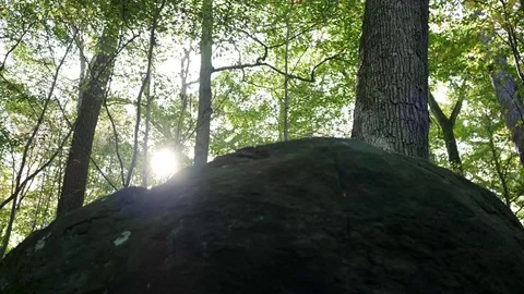 Sun shining over the top of  a rocky outcrop in the forest Stock Footage 80325317