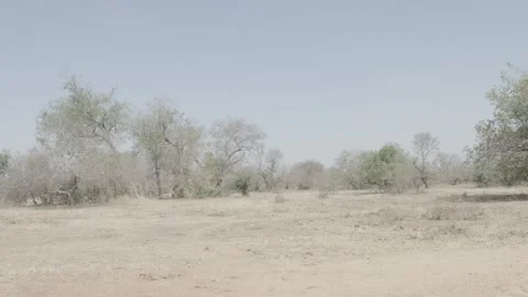 Sun shining on plain in Sout Sudan Stock Footage 341342630