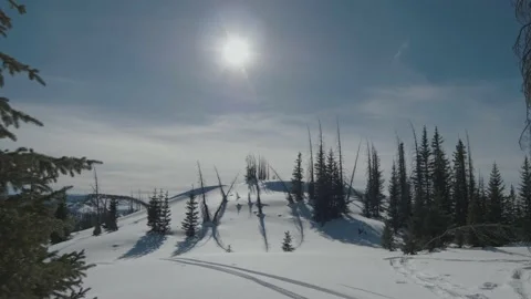 Sun Shining on Snowy Mountain Forest Landscape, Wolf Creek, Wide Shot Stock Footage 153228277