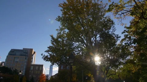 Sun Shining Through Autumn Nature NYC With Impressive NY Skyscrapers Stock Footage 113841589
