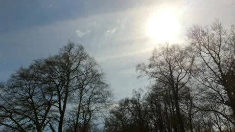 Sun Shining Through Bare Spring Trees with Lens Flare, Kassel, Germany Stockbeeldmateriaal 335938210