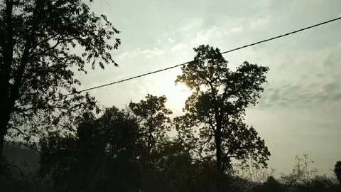 Sun Shining Through The Branches And Leaves Of Trees In Road Stock Footage 126348746