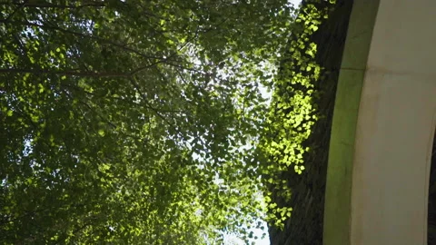 Sun Shining Through The Branches By The Sanctuary Of Meritxell Stock Footage 221827136