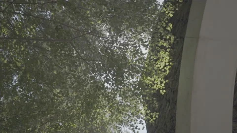 Sun Shining Through The Branches By The Sanctuary Of Meritxell - No LUT Version Stock Footage 221827530