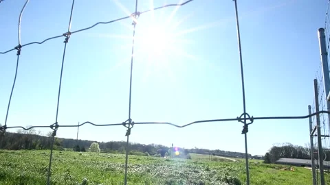 Sun Shining Through Chain Link Fence Video stock 135428253