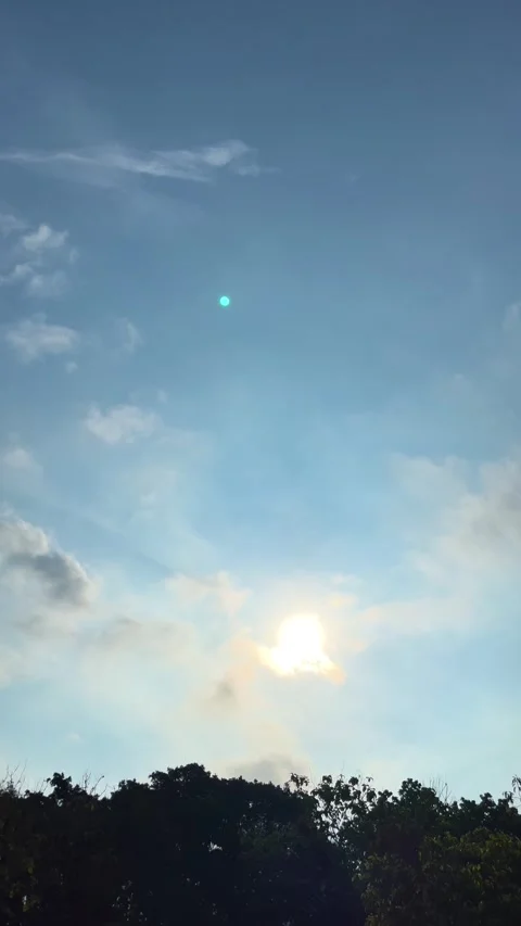 The Sun Shining through The Clouds And Silhouette Birds Flying With Treetops Stock Footage 305811528