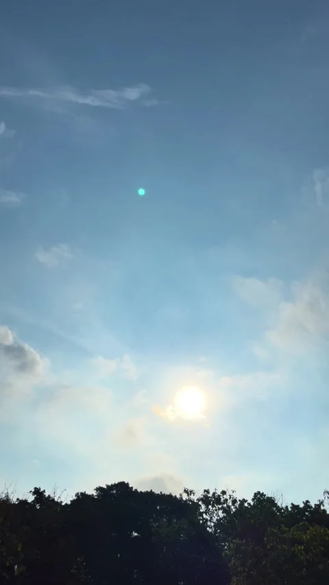 The Sun Shining through The Clouds And Silhouette Little Bird Fly With Treetops Stock Footage 305811533