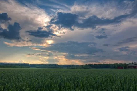 Sun shining through clouds over a wheat field Stock Photos