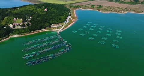 Sun Shining Through Clouds Small Island On A Lake Calm Waters Breeding Nets Stock-Footage 289419456