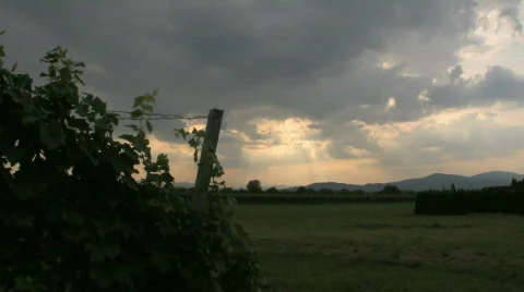 Sun Shining Through Clouds at Vineyard 스톡 동영상 588622