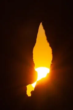 Sun shining through the crevice of a tree Stock Photos
