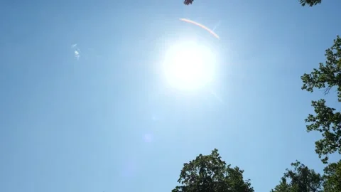 The sun shining through the crown of a coniferous tree and sparkles brightly Stock Footage 316470909