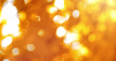 Sun shining through fall leaves blowing in breeze. Slow motion. 스톡 동영상 53214349