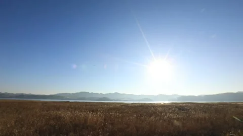 Sun shining through the filed	 Vídeo Stock 306040608