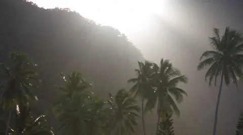 Sun shining through the fog Stockbeeldmateriaal 44187610